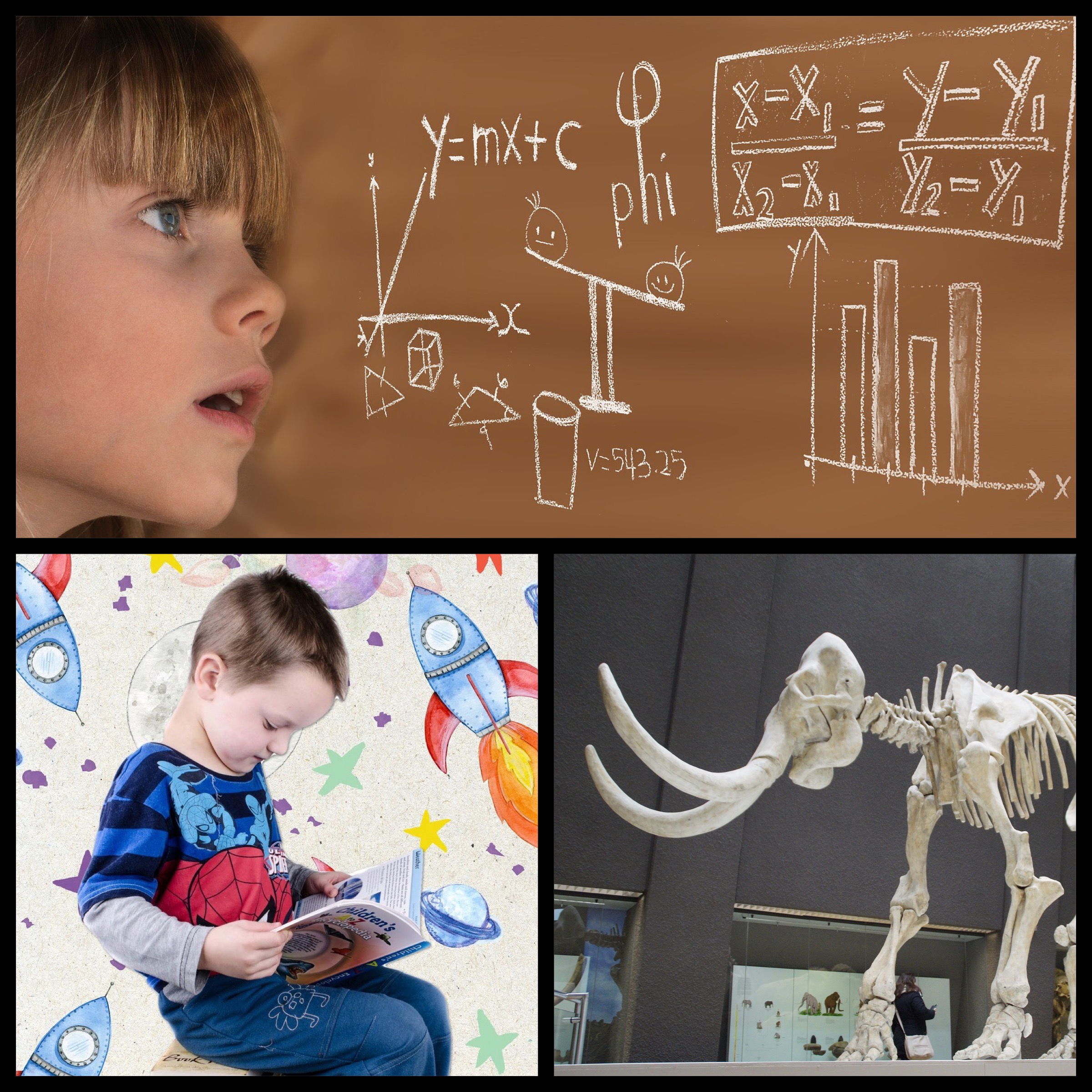Children interacting with science exhibits at the museum