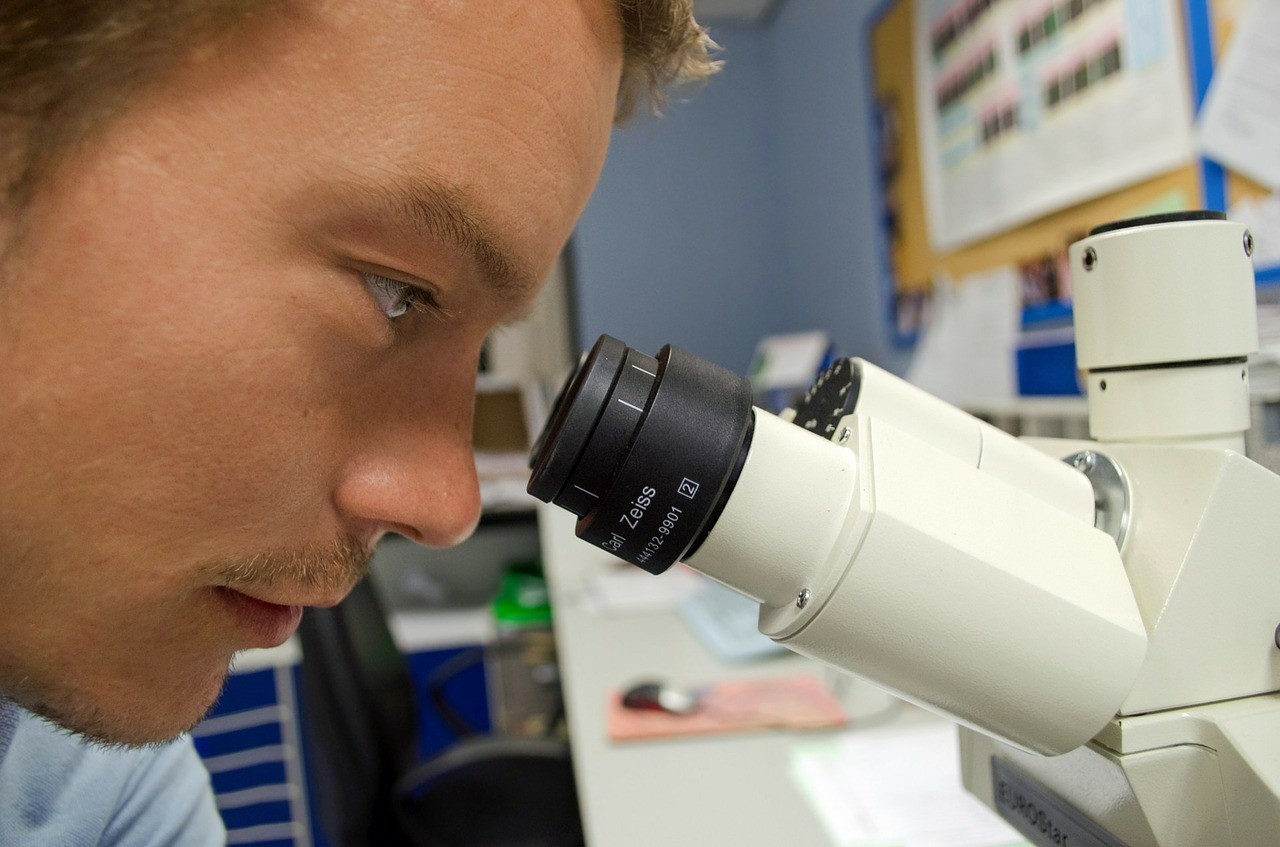 Researchers working in the museum laboratory